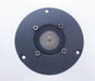Genesis Ring Ribbon Tweeter