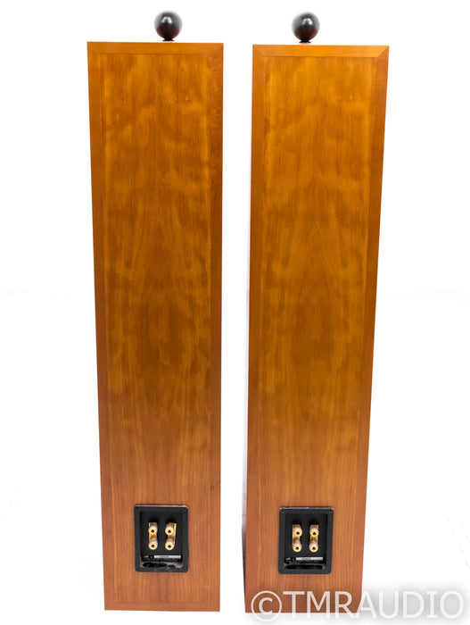 B&W P6 Floorstanding Speakers