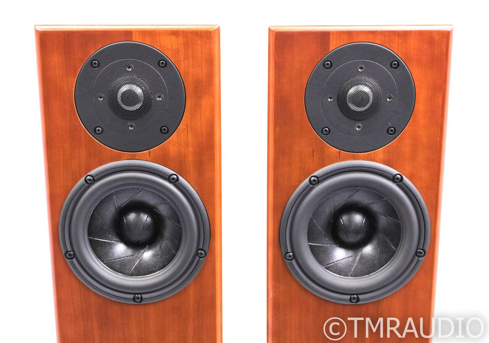 Totem Hawk Floorstanding Speakers