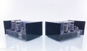 Manley Monoblock 100 Mono Tube Power Amplifier