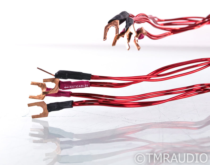 Anticables Level 3.1 Speaker Cables; 10ft Pair