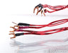 Anticables Level 3.1 Speaker Cables; 10ft Pair