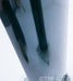 Paradigm Millenia 200 Floorstanding Speakers