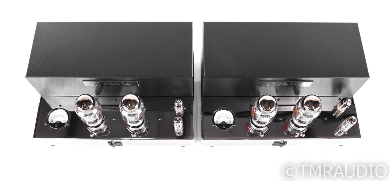 Quicksilver Audio Silver 88 Mono Tube Power Amplifier
