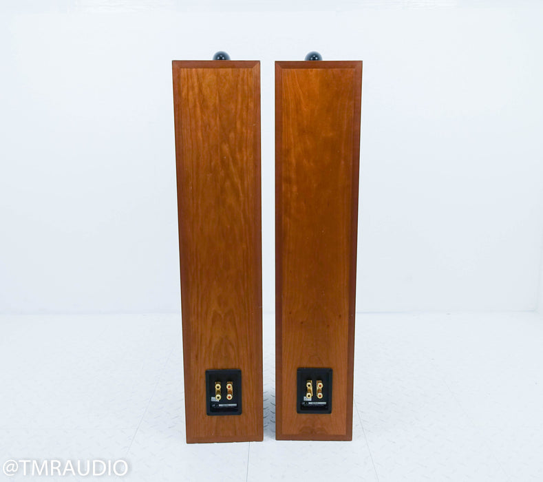 B&W P6 Floorstanding Speakers