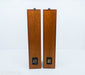 B&W P6 Floorstanding Speakers