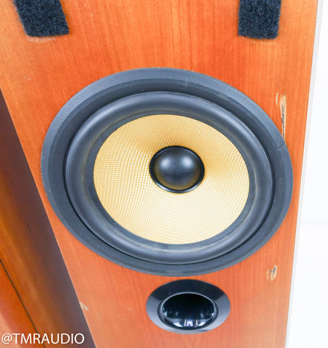 B&W P6 Floorstanding Speakers