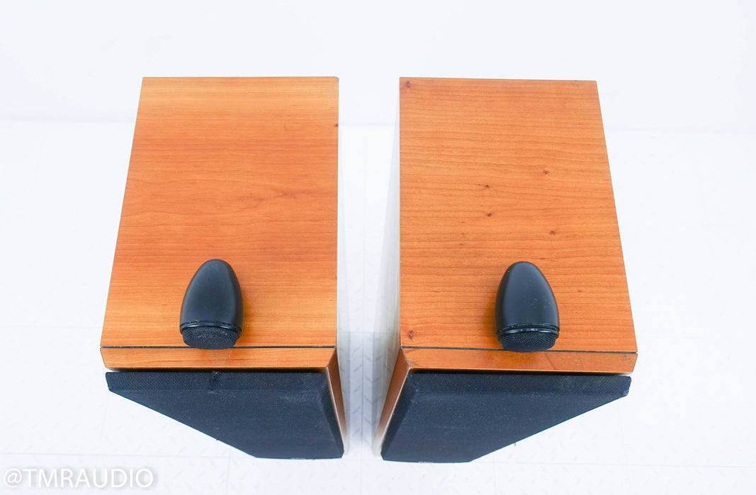 B&W P6 Floorstanding Speakers