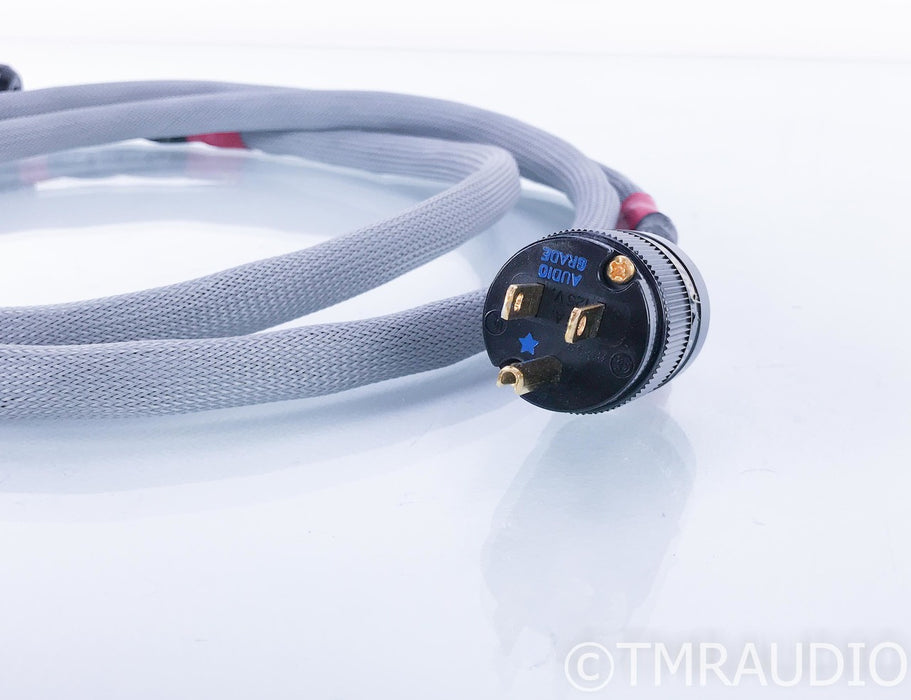 Silver Circle Vesuvius Power Cable; 8ft AC Cord