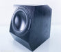 Anthony Gallo Classico CLS-10 10" Powered Subwoofer