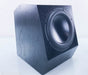 Anthony Gallo Classico CLS-10 10" Powered Subwoofer