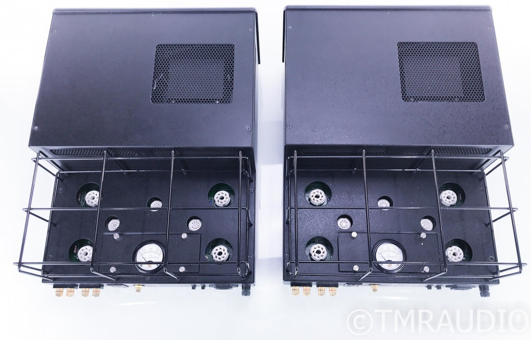 Rogue Audio M-150 Mono Tube Power Amplifier