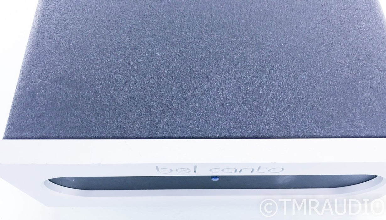 Bel Canto e.One M300 Mono Power Amplifier; Single