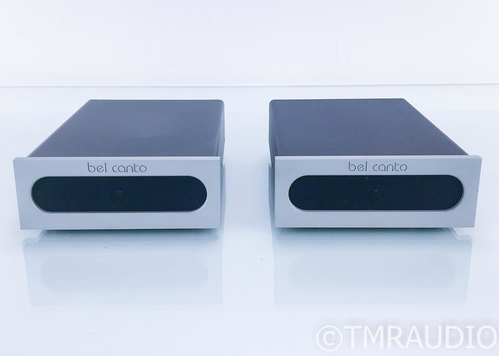 Bel Canto e.One M300 Mono Power Amplifier