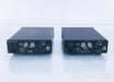 Bel Canto e.One M300 Mono Power Amplifier