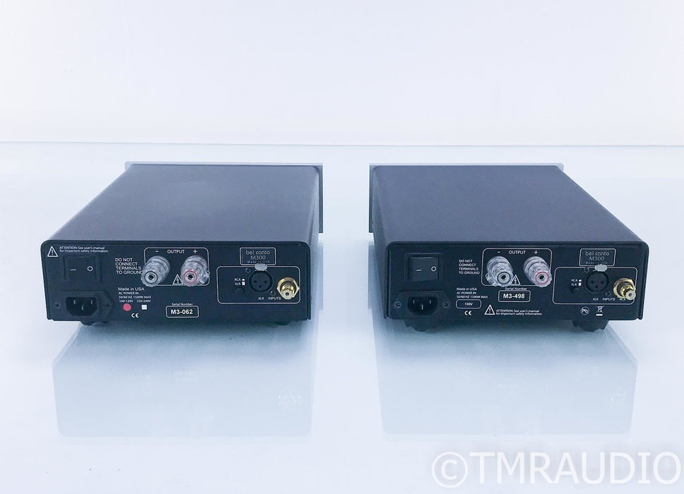Bel Canto e.One M300 Mono Power Amplifier