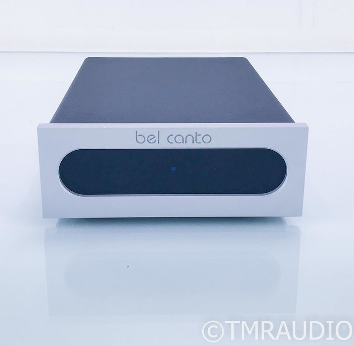 Bel Canto e.One M300 Mono Power Amplifier; Single