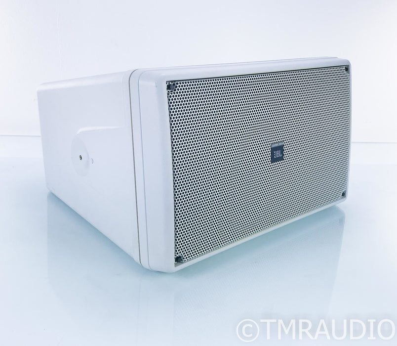 JBL Control SB210 Indoor / Outdoor Passive Subwoofer