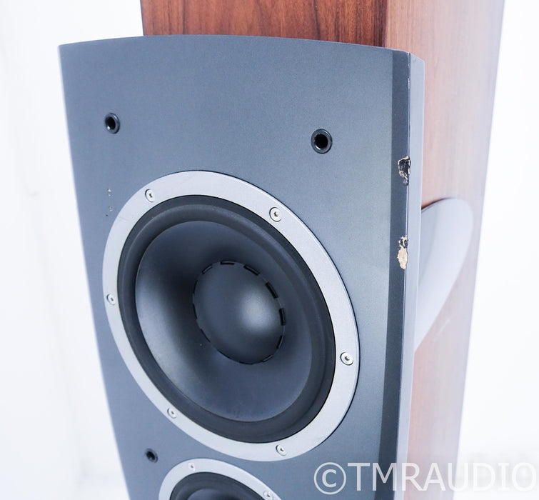 Dynaudio Confidence C4 Floorstanding Speakers