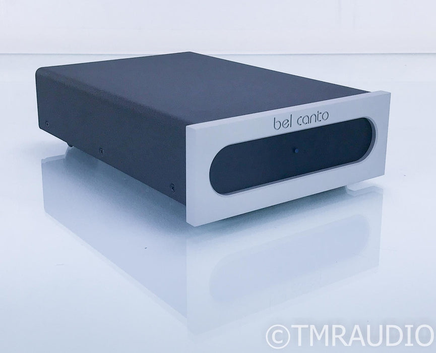 Bel Canto e.One M300 Mono Power Amplifier; Single