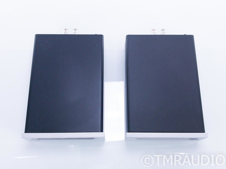 Bel Canto e.One M300 Mono Power Amplifier