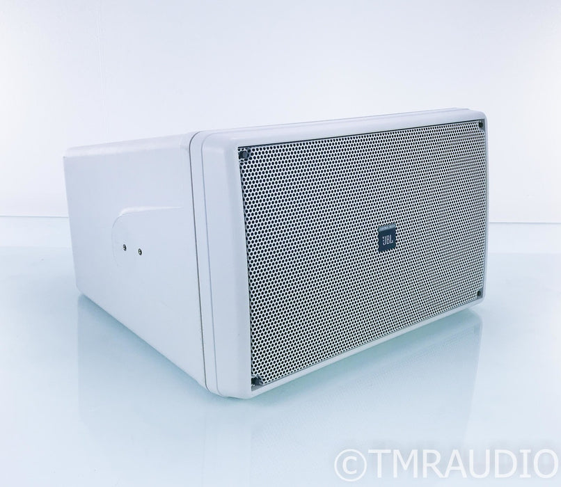 JBL Control SB210 Indoor / Outdoor Passive Subwoofer