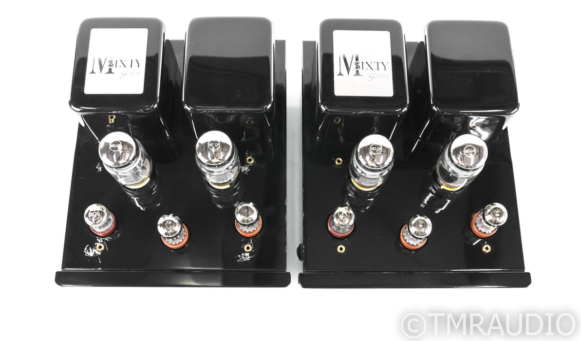 Genesis M60 Mono Tube Power Amplifier