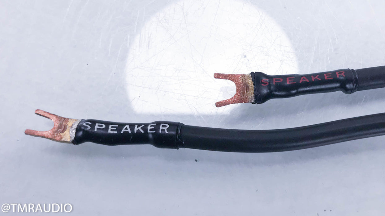 Transparent Audio MusicWave Plus Speaker Cable