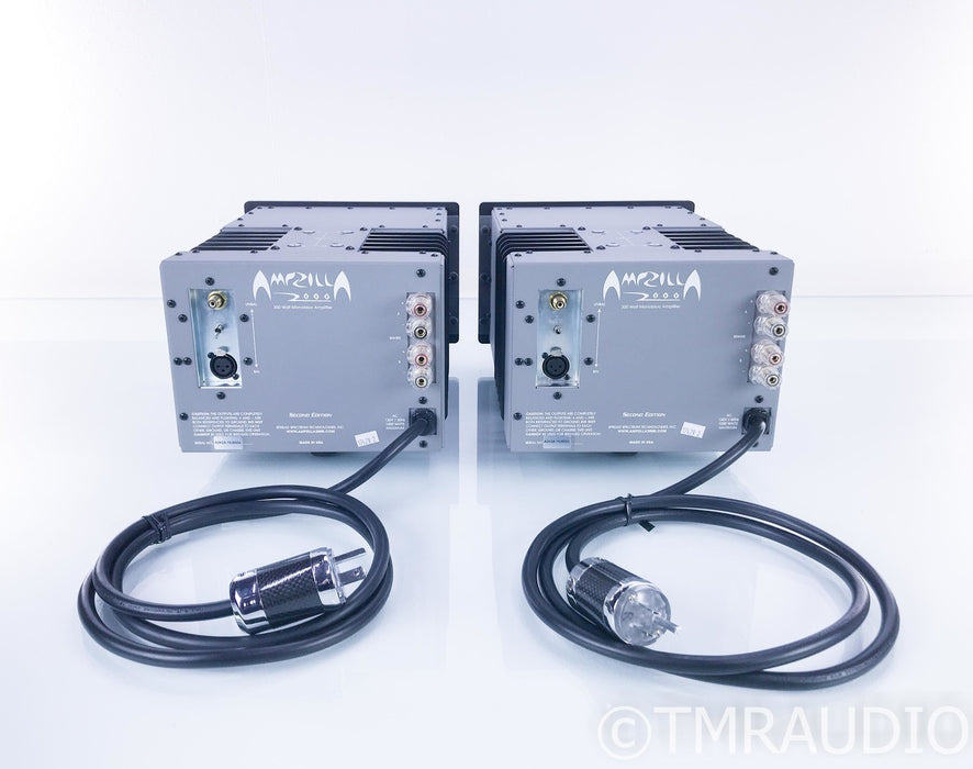 Spread Spectrum Technologies Ampzilla 2000 2nd Edition Mono Amplifier