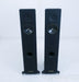 Sonus Faber Concerto Domus Floorstanding Speakers