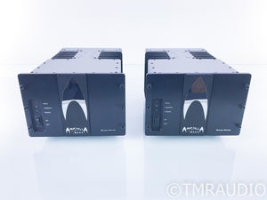 Spread Spectrum Technologies Ampzilla 2000 2nd Edition Mono Amplifier