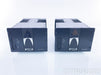 Spread Spectrum Technologies Ampzilla 2000 2nd Edition Mono Amplifier