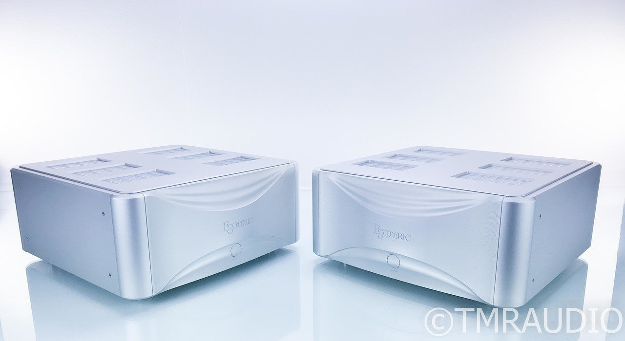 Esoteric Grandioso M1 Mono Power Amplifier