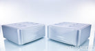 Esoteric Grandioso M1 Mono Power Amplifier