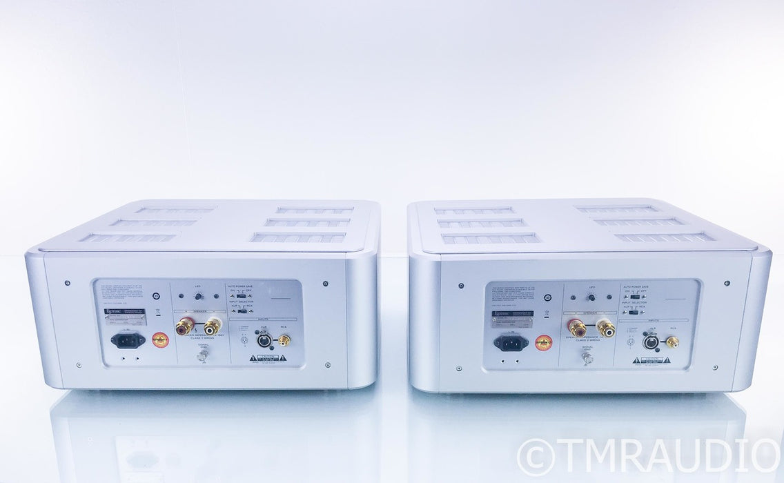 Esoteric Grandioso M1 Mono Power Amplifier