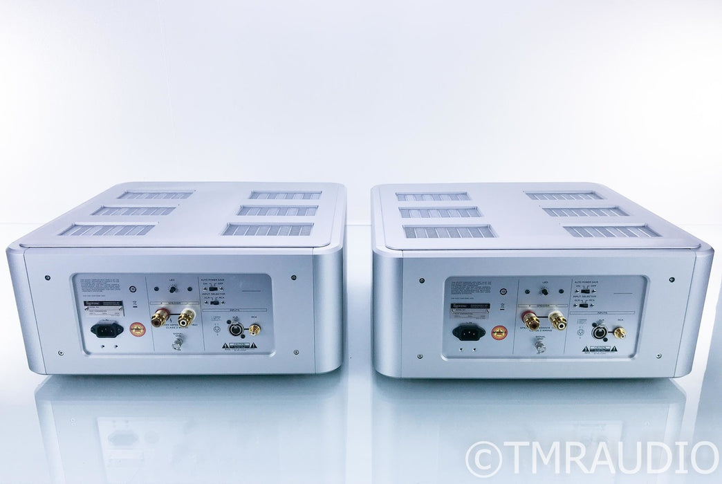 Esoteric Grandioso M1 Mono Power Amplifier
