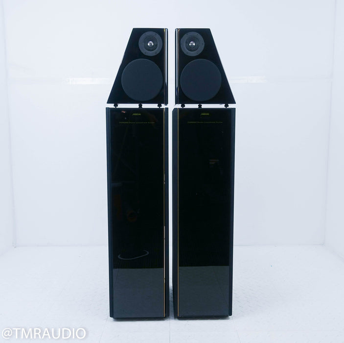 Meridian DSP 6000 Digital Active Floorstanding Speakers