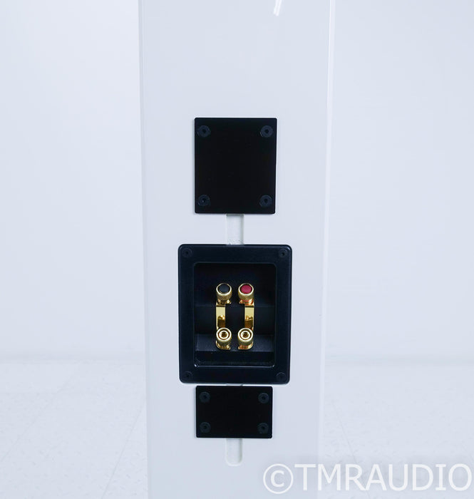Totem Tribe V On-Wall Speaker; Ice; Tribe 5; Single