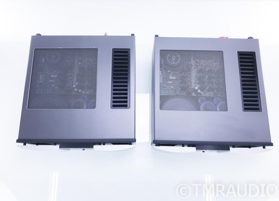 Mark Levinson No. 436 Mono Power Amplifier