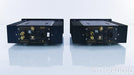 Monarchy Audio SE-100 Delux MKII Mono Power Amplifier