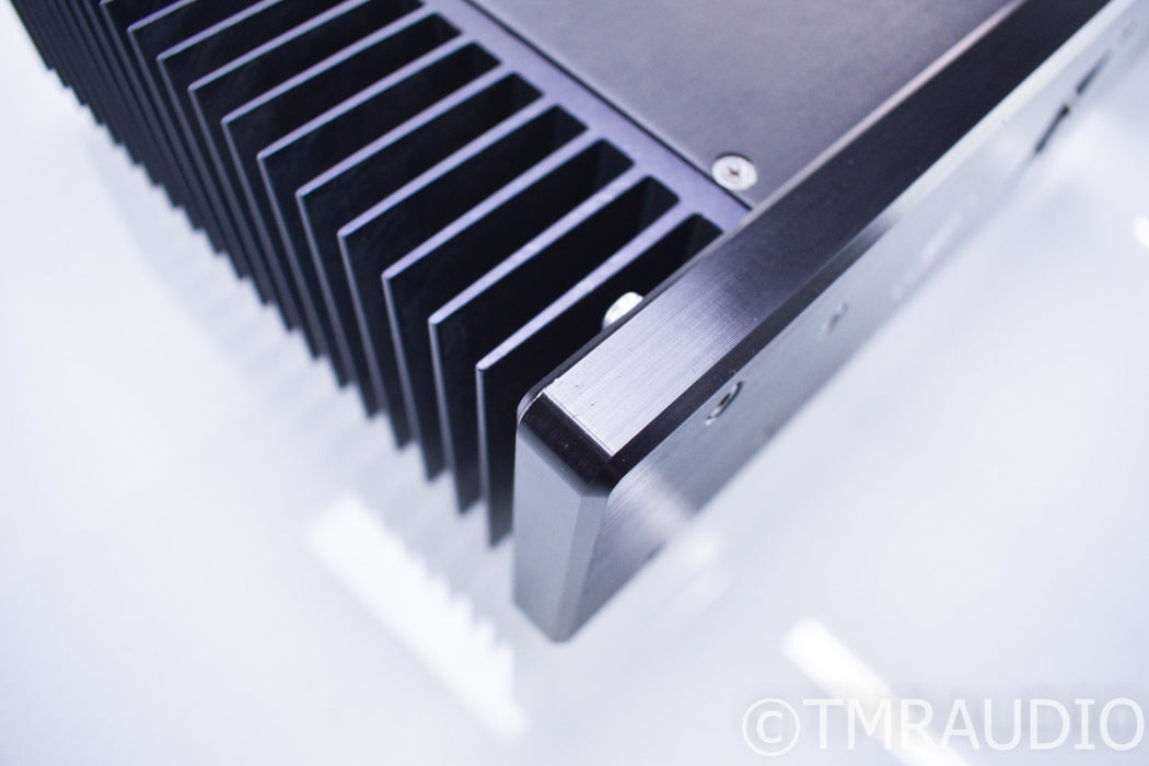 Monarchy Audio SE-100 Delux MKII Mono Power Amplifier
