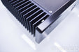 Monarchy Audio SE-100 Delux MKII Mono Power Amplifier