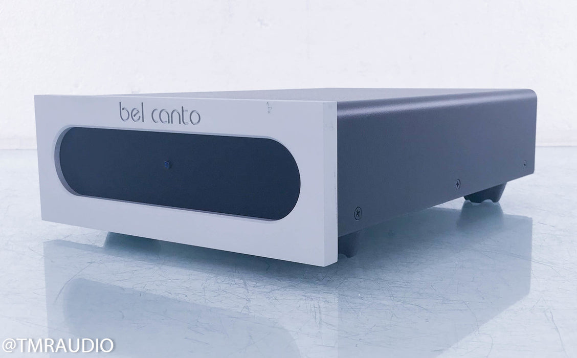 Bel Canto e.One M300 Mono Power Amplifier
