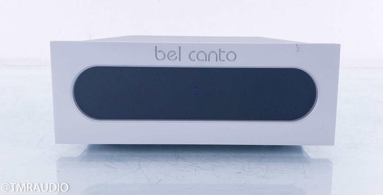 Bel Canto e.One M300 Mono Power Amplifier