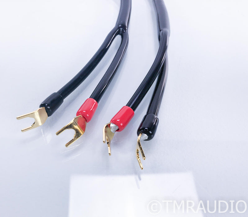 Transparent Audio The Wave Speaker Cables; 8ft Pair