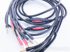 Transparent Audio The Wave Bi-Wire Speaker Cables