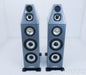 Genesis G5.3 Floorstanding Speakers