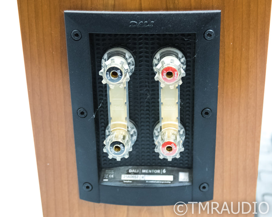 Dali Mentor 6 Floorstanding Speakers