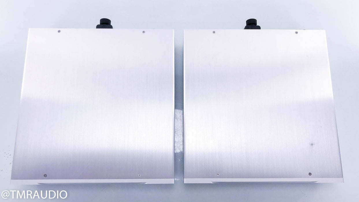 Auralic Merak Mono Power Amplifier