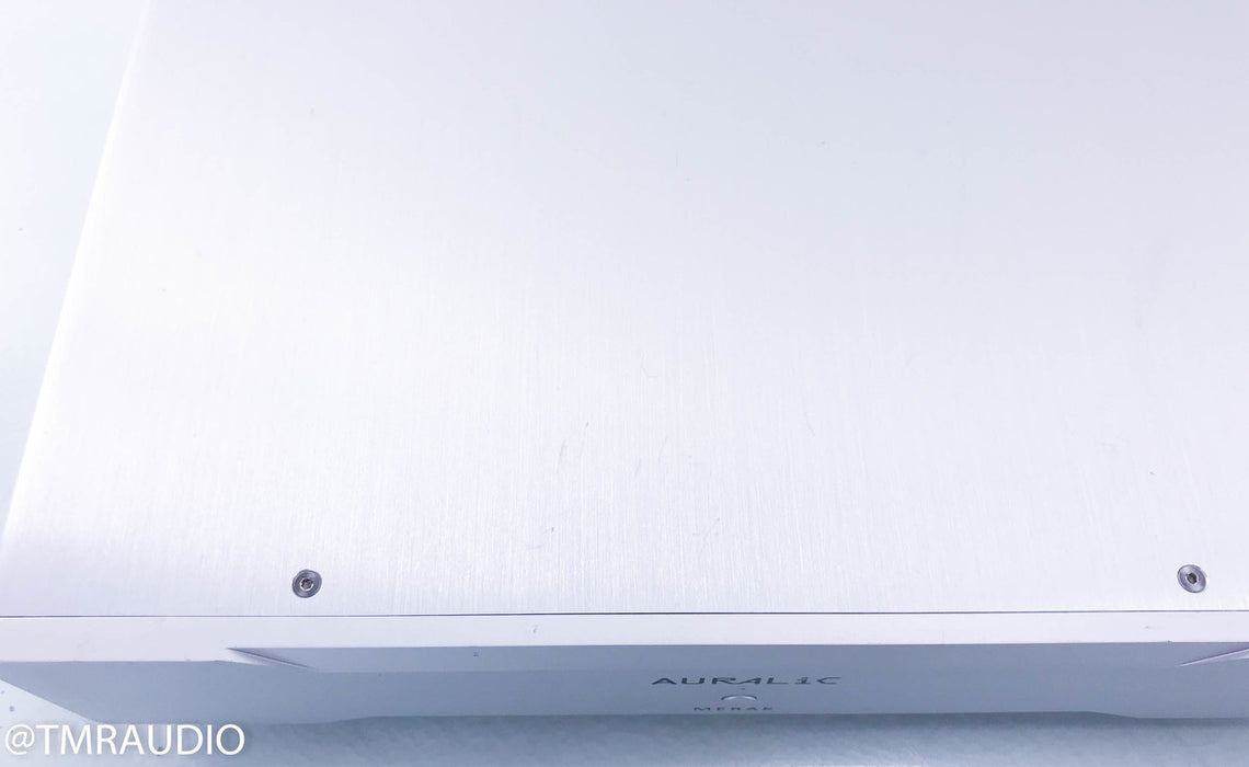 Auralic Merak Mono Power Amplifier